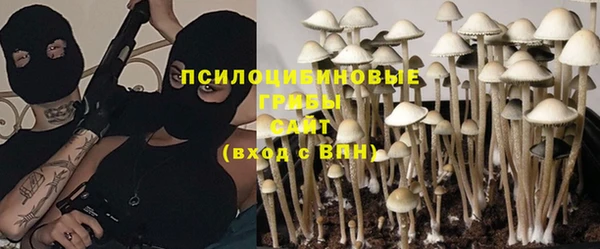 крисы Балахна