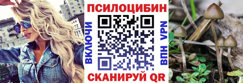 Псилоцибиновые грибы прущие грибы  Купить  Емва 